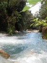 Trekking through the jungle. The turquoise waters of Rio Celese.