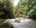 Trekking through the jungle. The turquoise waters of Rio Celese.