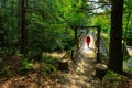 Trekking in Kumano Kodo Royalty Free Stock Photo