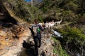 Trekking with llamas on the route from Lares in the Andes Royalty Free Stock Photo