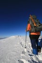 Trekking man in winter Royalty Free Stock Photo