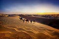 Trekking men and camels in wide desert in evening light, AI generated