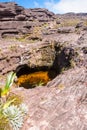 Mount Roraima Jacuzzi Venezuela Royalty Free Stock Photo