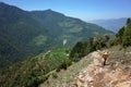 Trekking in Nepal Himalayas, Lower part of Everest trek