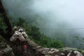 Trekking in Nepal Himalayas. Mule caravan on steep mountain trail in fog. Lower part of Everest trek
