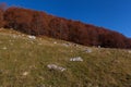 Trekking Parco Nazionale D'Abruzzo