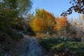 Trekking Parco Nazionale D'Abruzzo