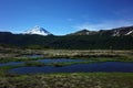 Trekking in Patagonia, Man hiker walking on grassy meadow wetland along Villarrica traverse hiking trail in Villarrica Royalty Free Stock Photo