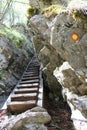 Trekking path in a gorge Hell Slovenia