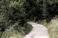 Trekking pathway - Beaten track - Beaten road