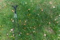 Trekking pole on the green grass with autumn leaves