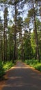 Trekking road near town Royalty Free Stock Photo