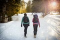 Trekking scene in winter in the alps Royalty Free Stock Photo