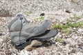 Trekking shoe broken after intensive use Royalty Free Stock Photo