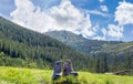 Trekking shoes on a background of forested mountains and sky Royalty Free Stock Photo