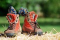 Trekking shoes Royalty Free Stock Photo