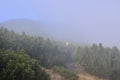 Trekking sign in fog