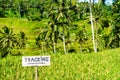 Trekking sign Royalty Free Stock Photo