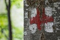 Trekking sign on tree Royalty Free Stock Photo