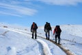 Trekking on snowy path on a sunny winter day