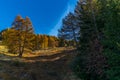 Trekking in the Swiss Alps in Autumn - 2