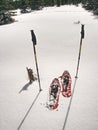 Trekking tent, poles, red snowshoes on snow between trees in the mountains