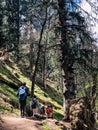 Trekking time kheerganga Himachal Pradesh