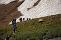 Trekking to mount Alamkooh , Alborz mountains , Iran