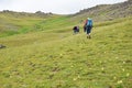 Trekking to Mount Sabalan Volcano , Iran