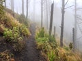 Trekking trail of Acatenango volcano ,Guatemala