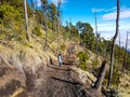 Trekking trail of Acatenango volcano ,Guatemala