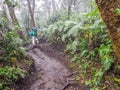 Trekking trail of Acatenango volcano ,Guatemala