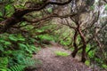 Trekking trail in the bay bald in the Anagi mountains Royalty Free Stock Photo