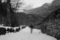 Trekking in Val Cenischia