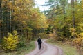 Trekking an a winding gravel road in fall season Royalty Free Stock Photo