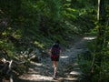 Trekking in a woods on Lake Como