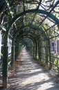 Trellis arches in Arkhangelskoye estate