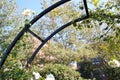 Trellis in Boston garden