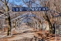 Trellis of Christmas lights and welcome signs in Korean language