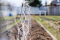 Trellis net stretched on wooden pegs on an empty bed in spring before planting Royalty Free Stock Photo