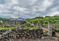 Stone wall of traditional vineyard cultivation called curraleta in Azores, Biscoitos - Terceira PORTUGAL