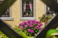 Trellis Window and Flowers Royalty Free Stock Photo