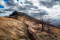 Trem, highest peak of Dry mountain in Serbia