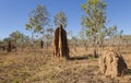 Tremite mound in Kakadu National Park, Australia Royalty Free Stock Photo