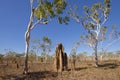 Tremite mound in Kakadu National Park, Australia