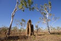 Tremite mound in Kakadu National Park, Australia Royalty Free Stock Photo