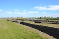 The Trench of death world war 1 belgium flanders fields Royalty Free Stock Photo