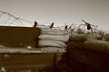 Great War Trenches near Verdun, East of France