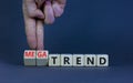 Trend or megatrend symbol. Businessman turns wooden cubes and changes words trend to megatrend. Beautiful grey table, grey