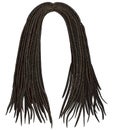 Trendy african long hair dreadlocks . fashion beauty style .